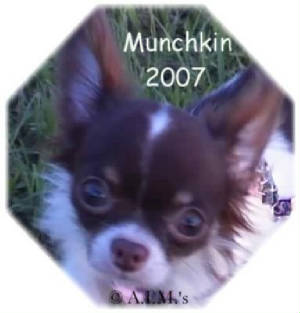 munchkin2007_22.JPG
